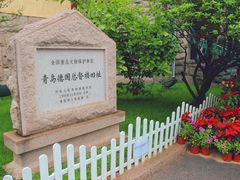 -青岛德国总督楼旧址博物馆
