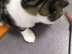 -德克士(步行街店)