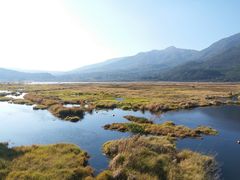 -腾冲北海湿地