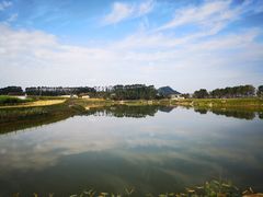 -光明小镇欢乐田园
