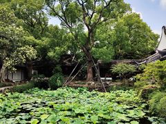-上海醉白池公园