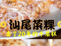 -汕尾菜粿(向西老店)