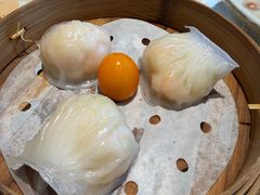 -点都德·毕德寮