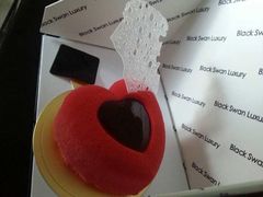 -BLACKSWAN黑天鹅(环球店)