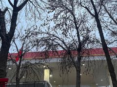 -中国石化加油站(路顺鑫加油站)