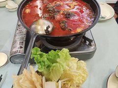 特色酸汤啤酒毛骨鱼火锅-大师傅金奖啤酒鱼(阳光店)