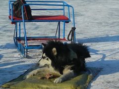 -人民防洪胜利纪念塔