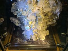 -陕西自然博物馆