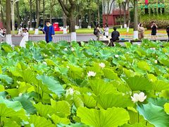 -四川大学(望江校区)