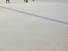 -冰纷万象滑冰场(二七万象城店)