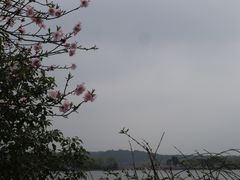-石湖景区