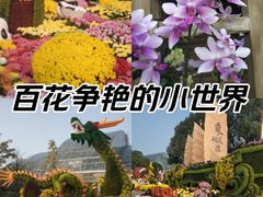 -南山植物园
