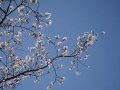 -龙美术馆(西岸馆)