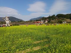 -福建土楼（华安）旅游区•大地土楼群