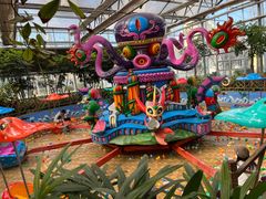 -南宫五洲植物乐园