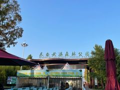 -黄海国家森林公园