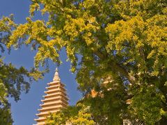 -北京石刻艺术博物馆(五塔寺)