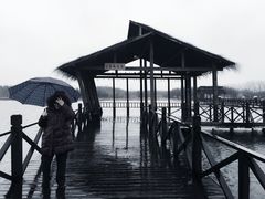 -溱湖国家湿地公园