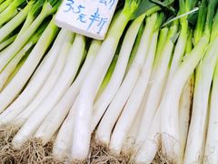 -五里多农博广场