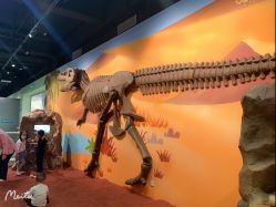 -北京科学中心儿童乐园