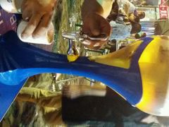 android_upload_pic-天津乾毓德饭庄·清真传统炒菜·海鲜烧烤(咸阳路店)