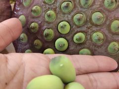 -雅沛轩锅贴八宝粥(回民街店)