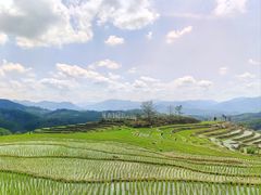 -牙胡梯田