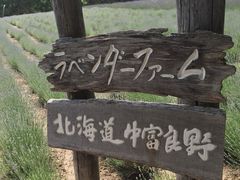 -富田农场