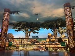 -国家自然博物馆