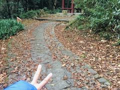 -西湖风景区十里琅珰-五云山