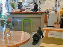大堂-唐咖精品咖啡(大理古城手冲店)