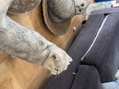 -悠米私人影院(街道口店)