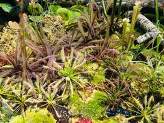 -国家植物园南园