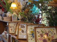 -知物癖(牛王庙店)