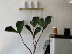-red donkey coffee