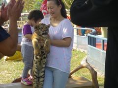 -大连森林动物园