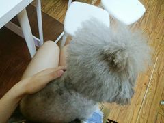 -志龙皇冠吃货椰子铺