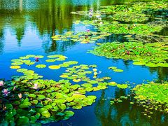 -国家植物园南园