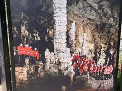 -波斯托伊纳溶洞