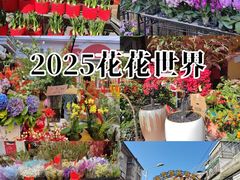 -溪岸路花鸟市场