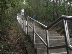-野狸岛