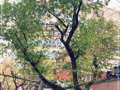 -复旦大学附属华山医院(总院)