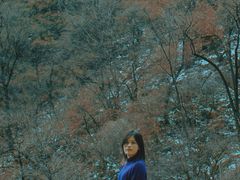 -青峰峡国家森林公园