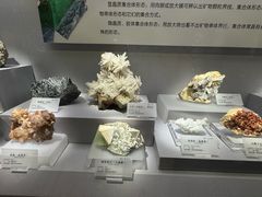 -湖南省地质博物馆