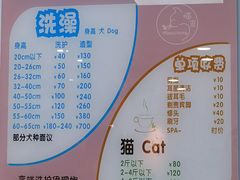 -喵宠乐园·撸猫互动·猫舍