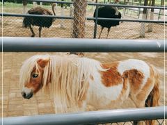 -长白岛森林公园