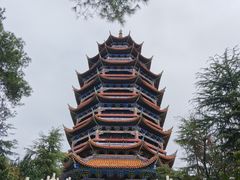 -铁山坪森林公园