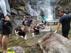 -九龙江国家森林公园