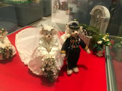 -济州岛泰迪熊博物馆