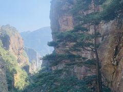 -雁荡山风景名胜区